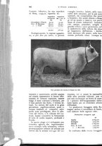 giornale/UM10003065/1927/unico/00001086