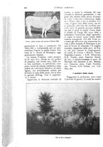 giornale/UM10003065/1927/unico/00001088