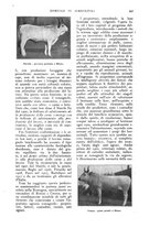 giornale/UM10003065/1927/unico/00001091