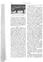 giornale/UM10003065/1927/unico/00001100