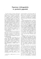 giornale/UM10003065/1928/unico/00000065