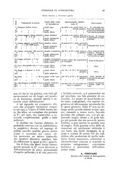 L'Italia agricola