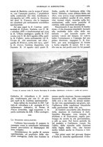 giornale/UM10003065/1928/unico/00000197