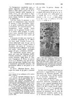 giornale/UM10003065/1928/unico/00000281