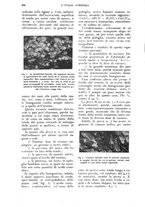 giornale/UM10003065/1928/unico/00000284