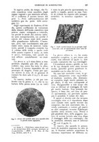 giornale/UM10003065/1928/unico/00000285