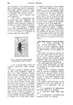 giornale/UM10003065/1928/unico/00000286