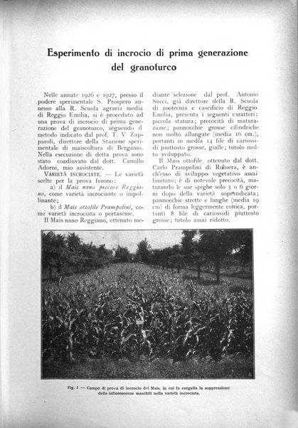 L'Italia agricola