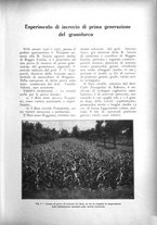 giornale/UM10003065/1928/unico/00000289