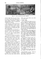 giornale/UM10003065/1928/unico/00000312