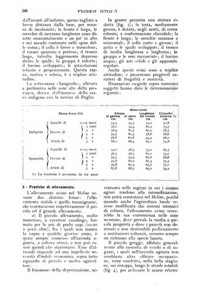 L'Italia agricola