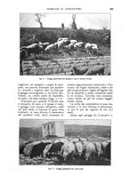 giornale/UM10003065/1928/unico/00000315