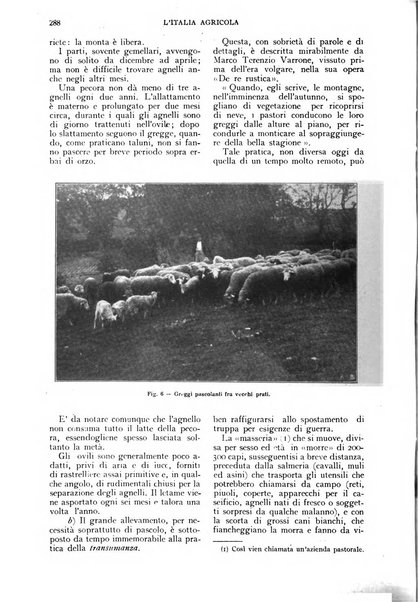 L'Italia agricola