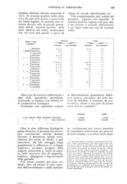 L'Italia agricola