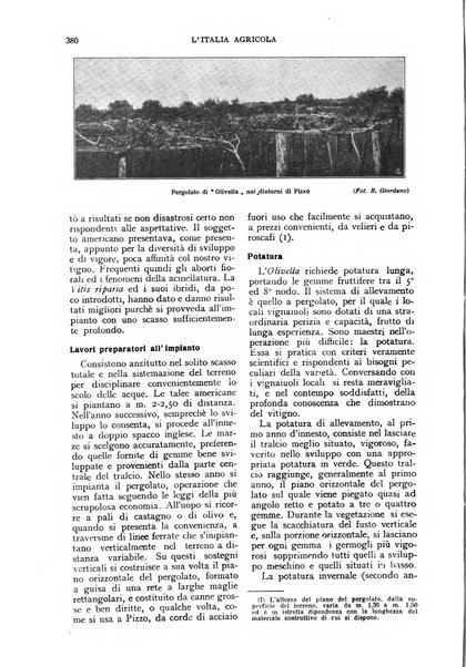 L'Italia agricola