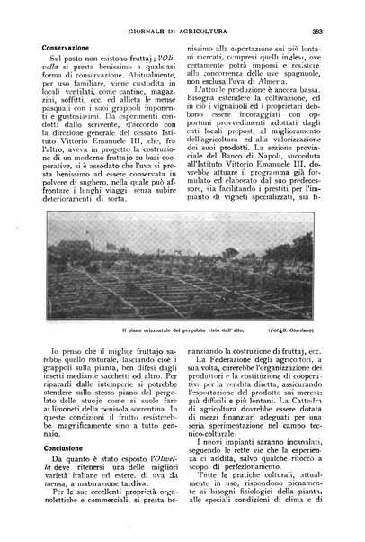 L'Italia agricola