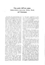 giornale/UM10003065/1928/unico/00000426