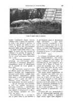 giornale/UM10003065/1928/unico/00000433