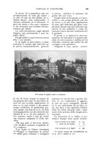 giornale/UM10003065/1928/unico/00000435