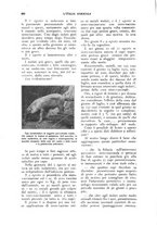 giornale/UM10003065/1928/unico/00000436