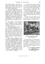 giornale/UM10003065/1928/unico/00000437