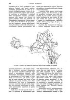 giornale/UM10003065/1928/unico/00000492