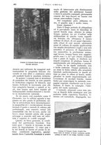 giornale/UM10003065/1928/unico/00000508