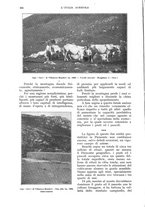 giornale/UM10003065/1928/unico/00000512