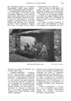 giornale/UM10003065/1928/unico/00000523