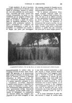 giornale/UM10003065/1928/unico/00000531