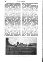 giornale/UM10003065/1928/unico/00000536