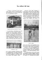 giornale/UM10003065/1928/unico/00000538