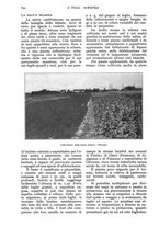 giornale/UM10003065/1928/unico/00000564