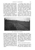 giornale/UM10003065/1928/unico/00000575