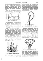 giornale/UM10003065/1928/unico/00000579