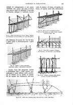 giornale/UM10003065/1928/unico/00000581