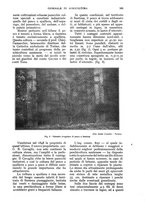 giornale/UM10003065/1928/unico/00000617