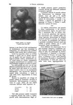 giornale/UM10003065/1928/unico/00000622