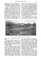 giornale/UM10003065/1928/unico/00000623