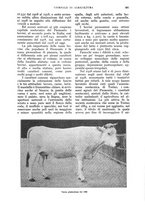 giornale/UM10003065/1928/unico/00000637