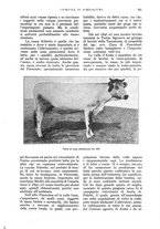 giornale/UM10003065/1928/unico/00000639