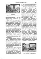 giornale/UM10003065/1928/unico/00000649