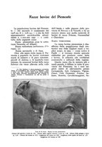 giornale/UM10003065/1928/unico/00000655