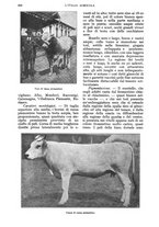 giornale/UM10003065/1928/unico/00000656