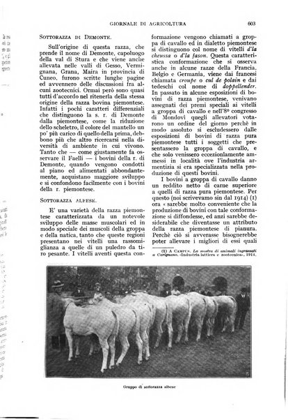 L'Italia agricola