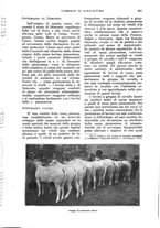 giornale/UM10003065/1928/unico/00000659