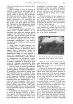 giornale/UM10003065/1928/unico/00000667