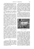 giornale/UM10003065/1928/unico/00000671