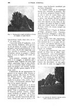 giornale/UM10003065/1928/unico/00000724