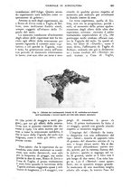 giornale/UM10003065/1928/unico/00000725